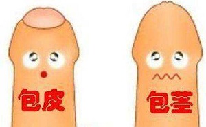 包茎的危害