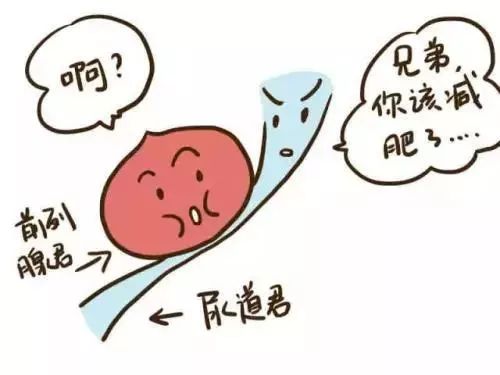 前列腺增生的危害有多大