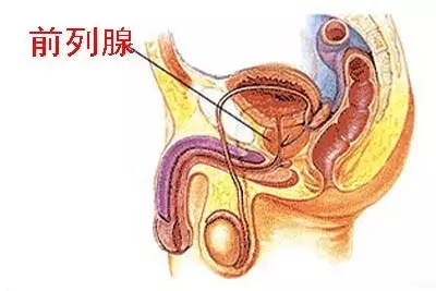 前列腺增生的危害