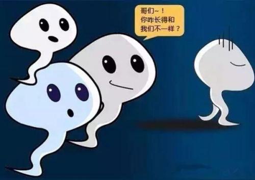 畸形精子受孕了怎么办