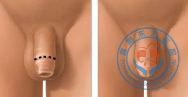 �������ҽԺ