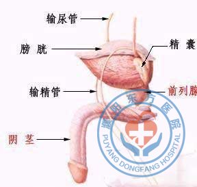 �������ҽԺ