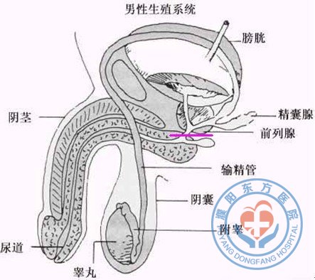 �������ҽԺ